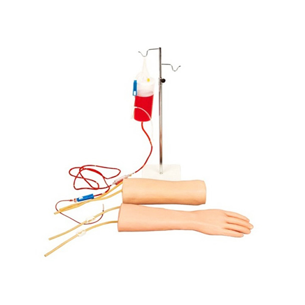 手部、肘部组合式静脉输液（血）训练模型