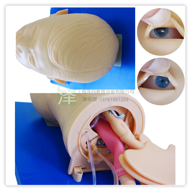 全功能气道管理模型B
